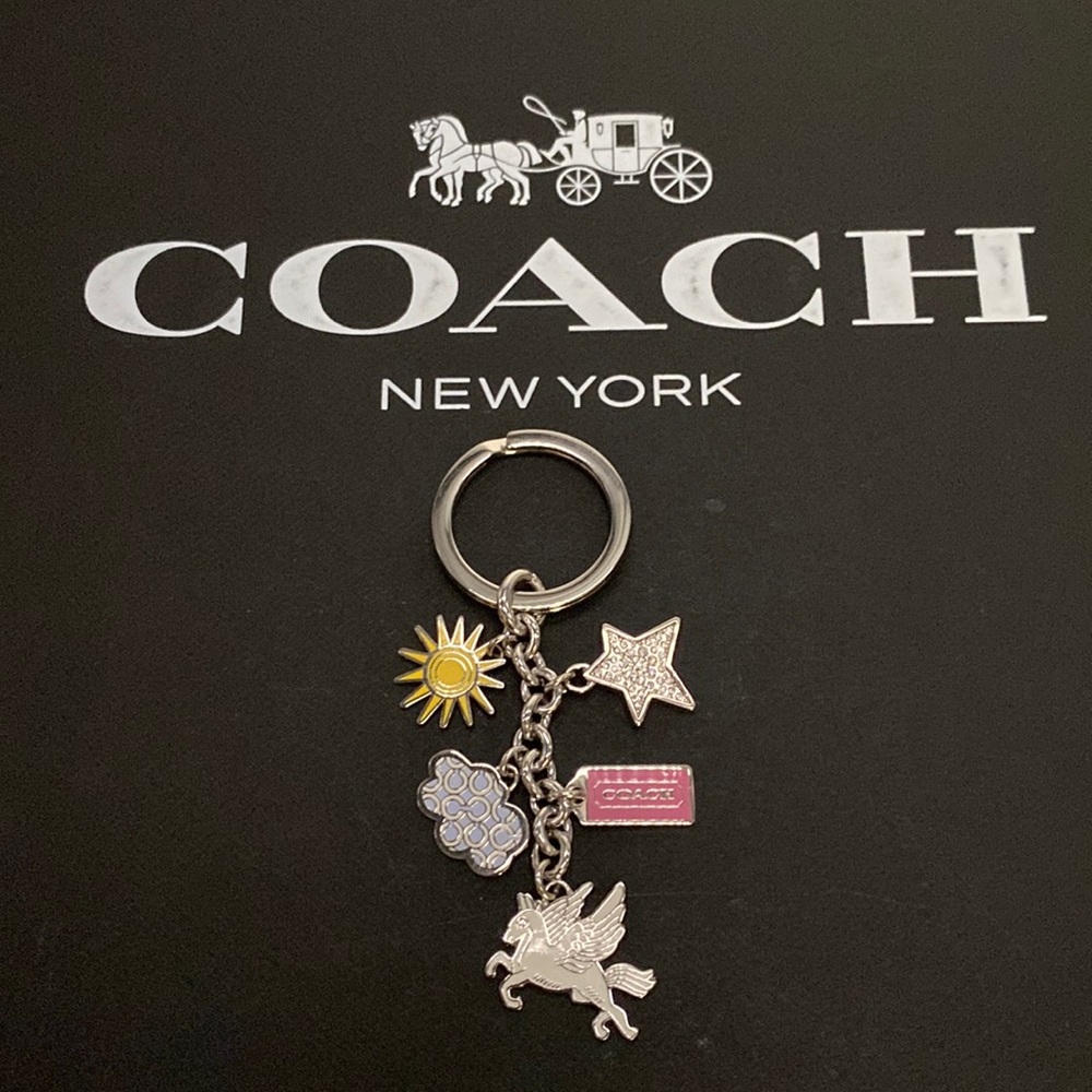 Coach Metal Mixed Keychain Bag charm FOB Pegasus Horse Sun Cloud Signature Logo - Picture 2 of 8